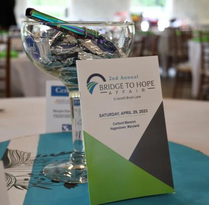 Second Annual Bridge to Hope Affair Surpasses Inaugural Success