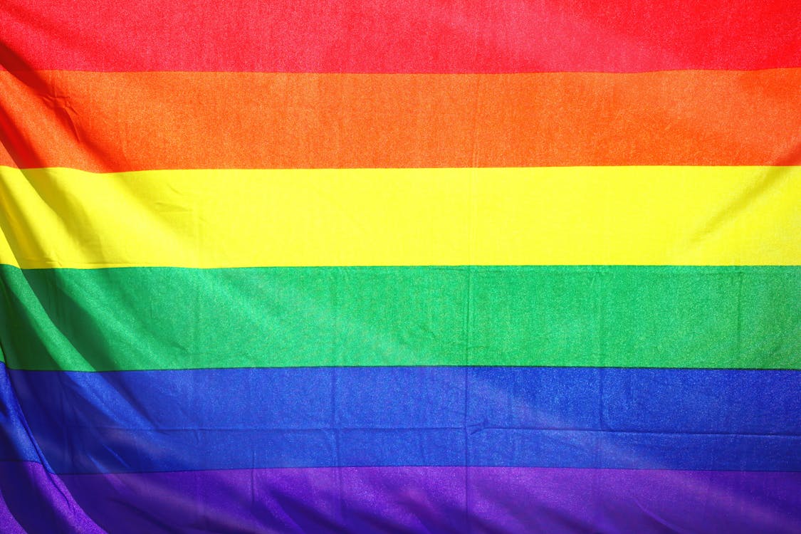 Colorful rainbow pride flag waving in light